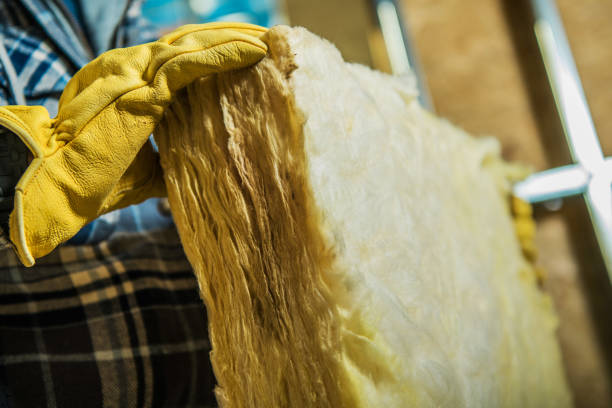 Best Insulation Maintenance and Repair in Hastings, NE